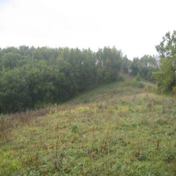 Offres de vente Terrain Saint-Élix 32450