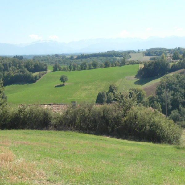 Offres de vente Ferme Simorre 32420