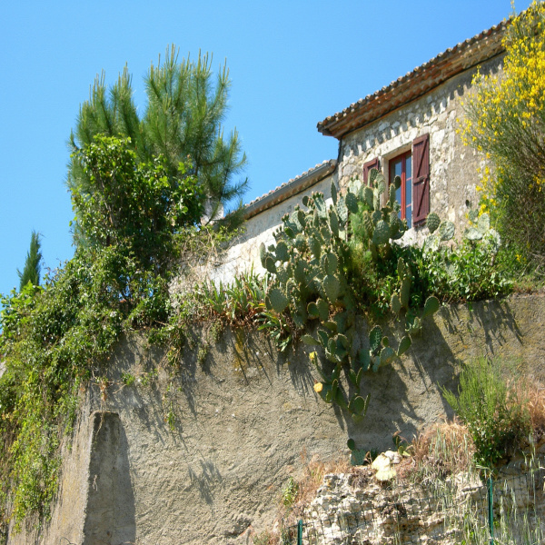 Offres de vente Maison Saint-Clar 32380
