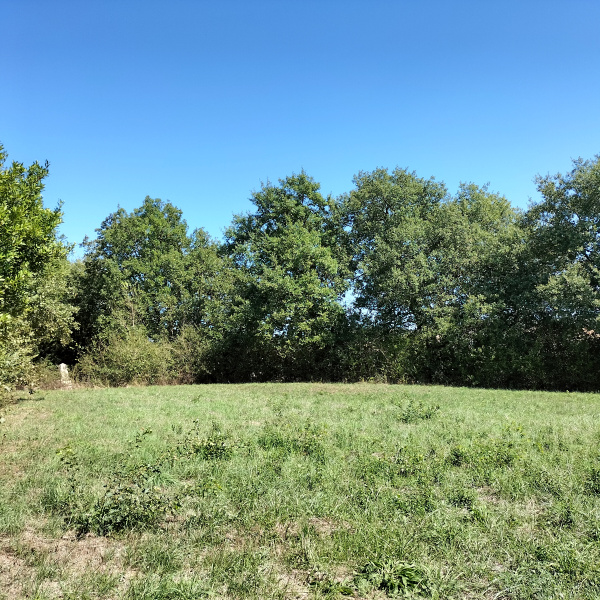 Offres de vente Terrain à batir Saramon 32450