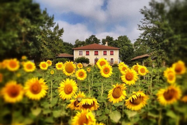 Offres de vente Maison Simorre 32420