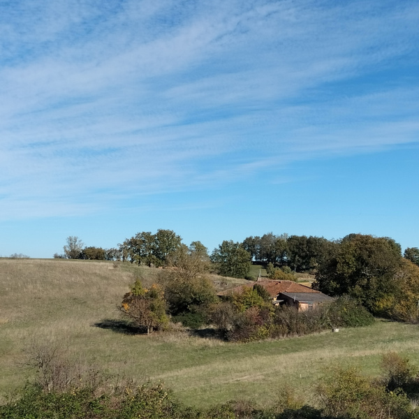 Offres de vente Maison Sauveterre 32220